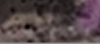 javascript:newWindow34()